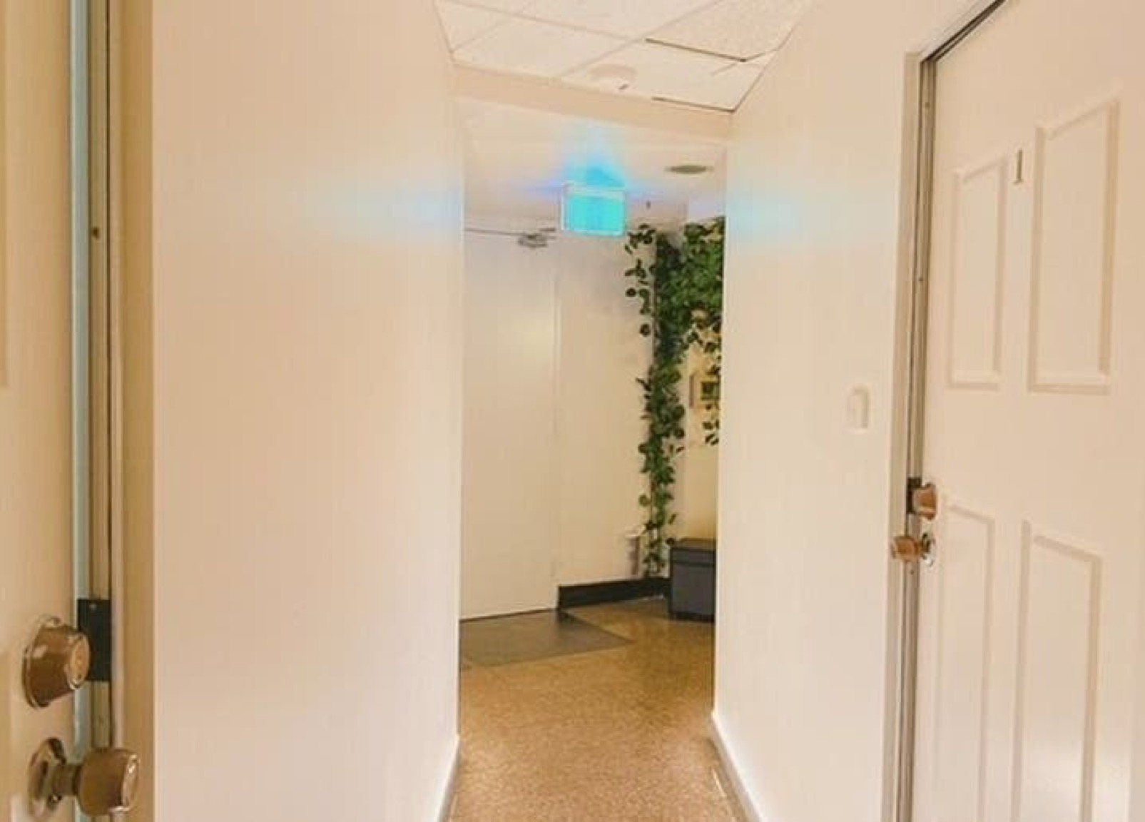 Haymarket hallway and treatment rooms